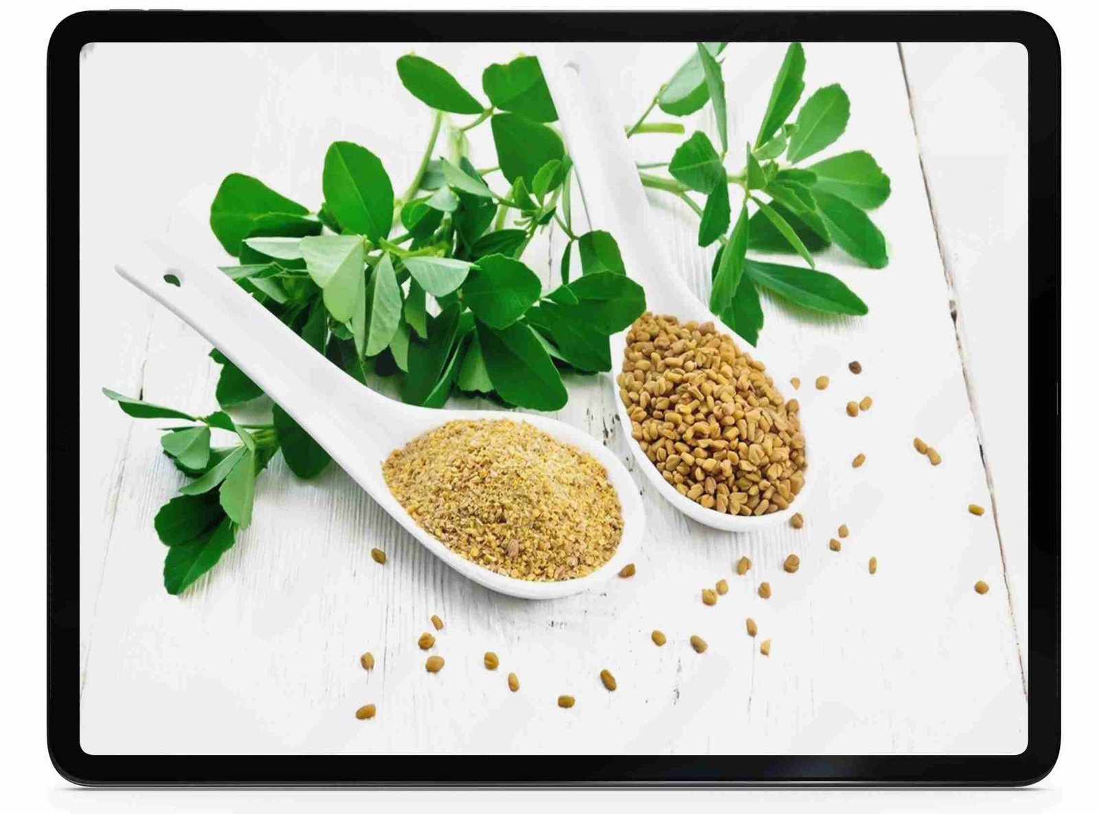 Dried fenugreek powder (1).jpg load=